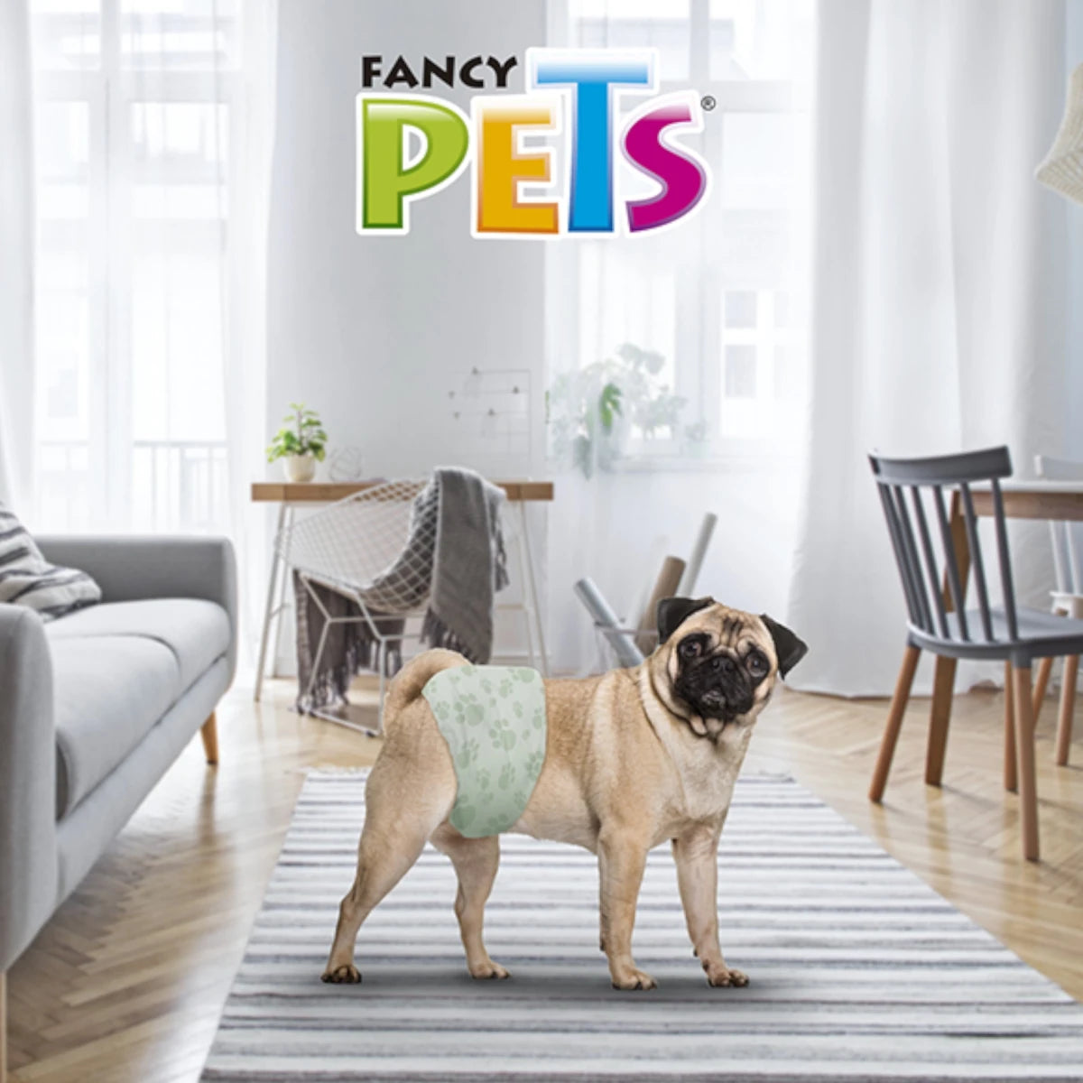 Perro pug usando pañales dry pet talla chica