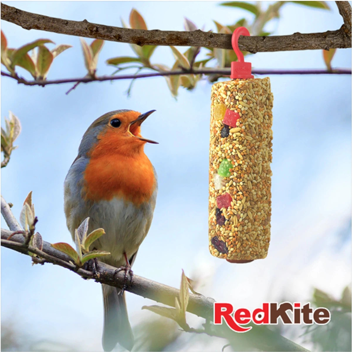 Pájaro posado en una rama junto a barrita de semillas con fruta RedKite colgante.