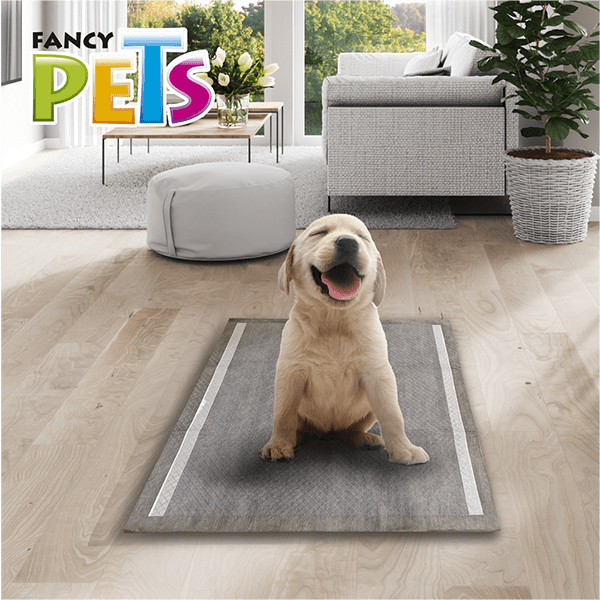 Tapete entrenador para perros con carbón activado