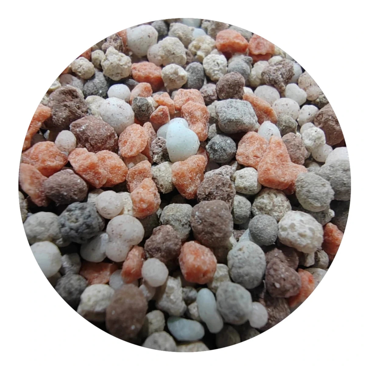 granulos de fertilizante Triple 17 NPK con nitrógeno, fósforo y potasio para nutrir cultivos, huertos y jardines con crecimiento equilibrado.