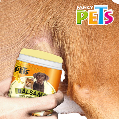 Aplicación de bálsamo con tepezcohuite en zona irritada de perro, ideal para piel agrietada y reseca.