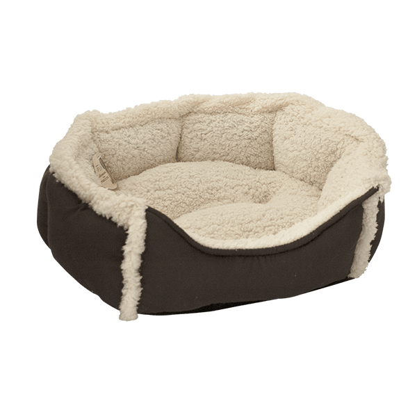 Cama maltés