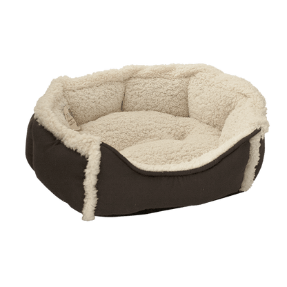 Cama maltés