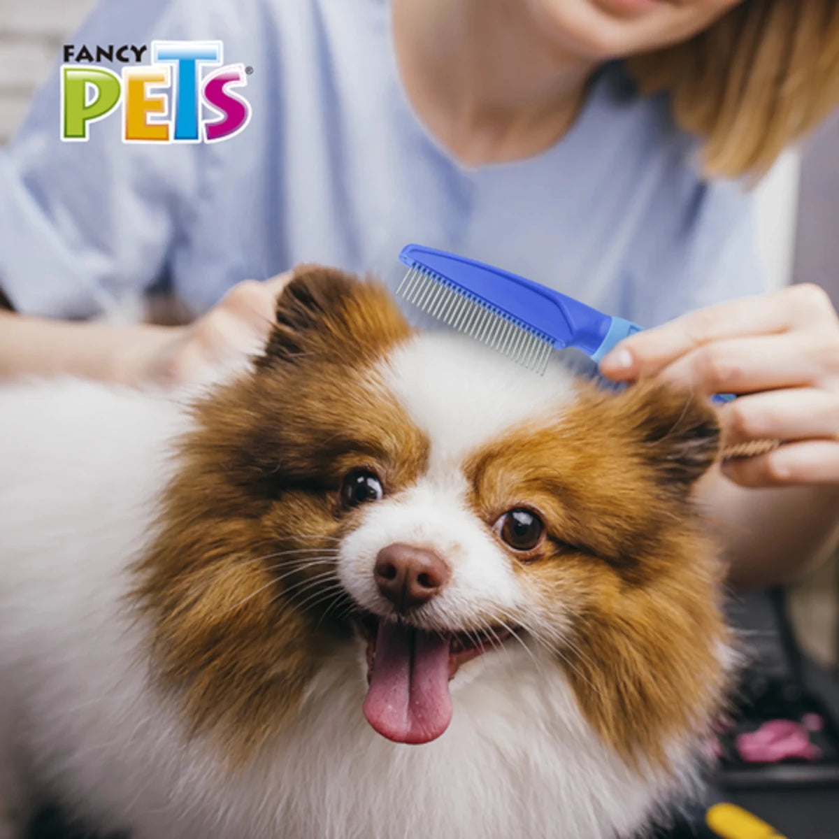 Persona peinando a un perro pequeño con peine desenredante metálico azul de Fancy Pets