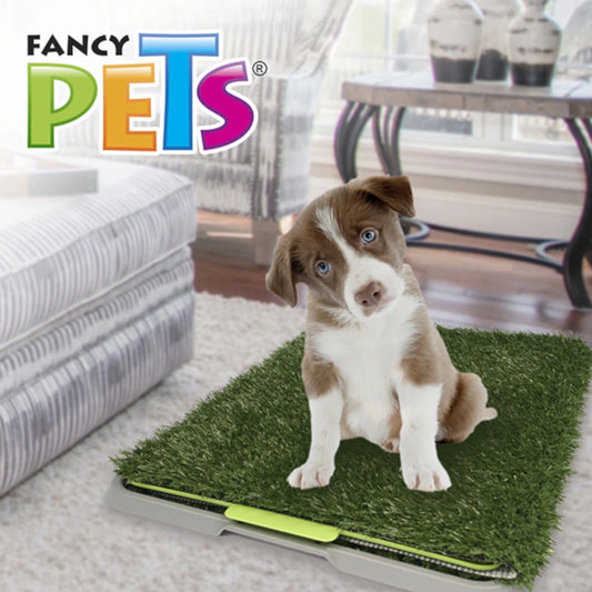 Cachorro sentado sobre tapete sanitario de pasto sintético Fancy Pets tamaño chico.