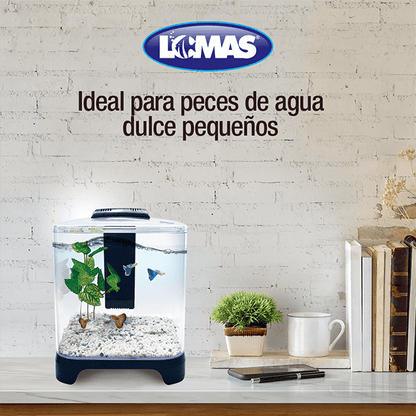 Acuario Mini 6 Litros