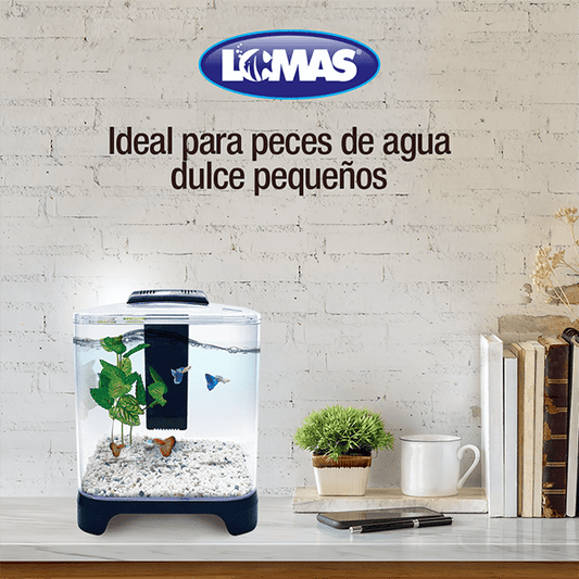 Acuario Mini 6 Litros