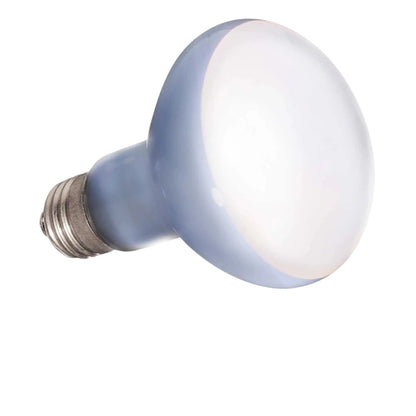 Bombilla de vidrio de neodimio para reptiles modelo Basking Spot de 75W, con diseño de luz concentrada para crear áreas de calor intenso.