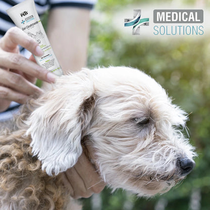 Aplicación de gel cicatrizante de kiwi en  un perro de pelo rizado para el  tratamiento tópico para heridas en mascotas