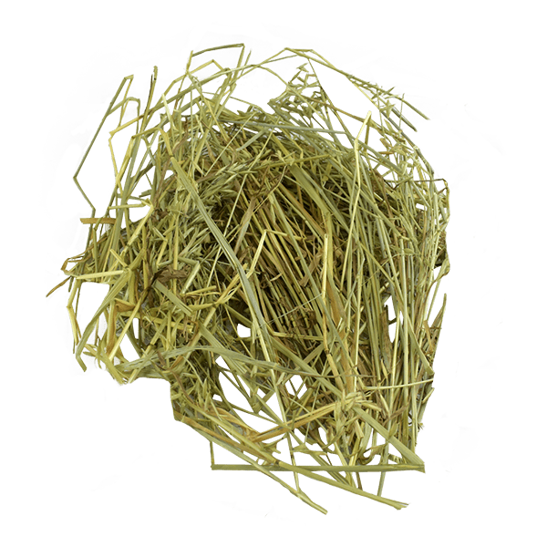 Heno de avena allpet