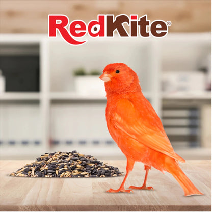 Imagen ilustrativa de un  canario probando  Alpiste, mijo y linaza contenidas en  mezcla de semillas para finches y canarios RedKite