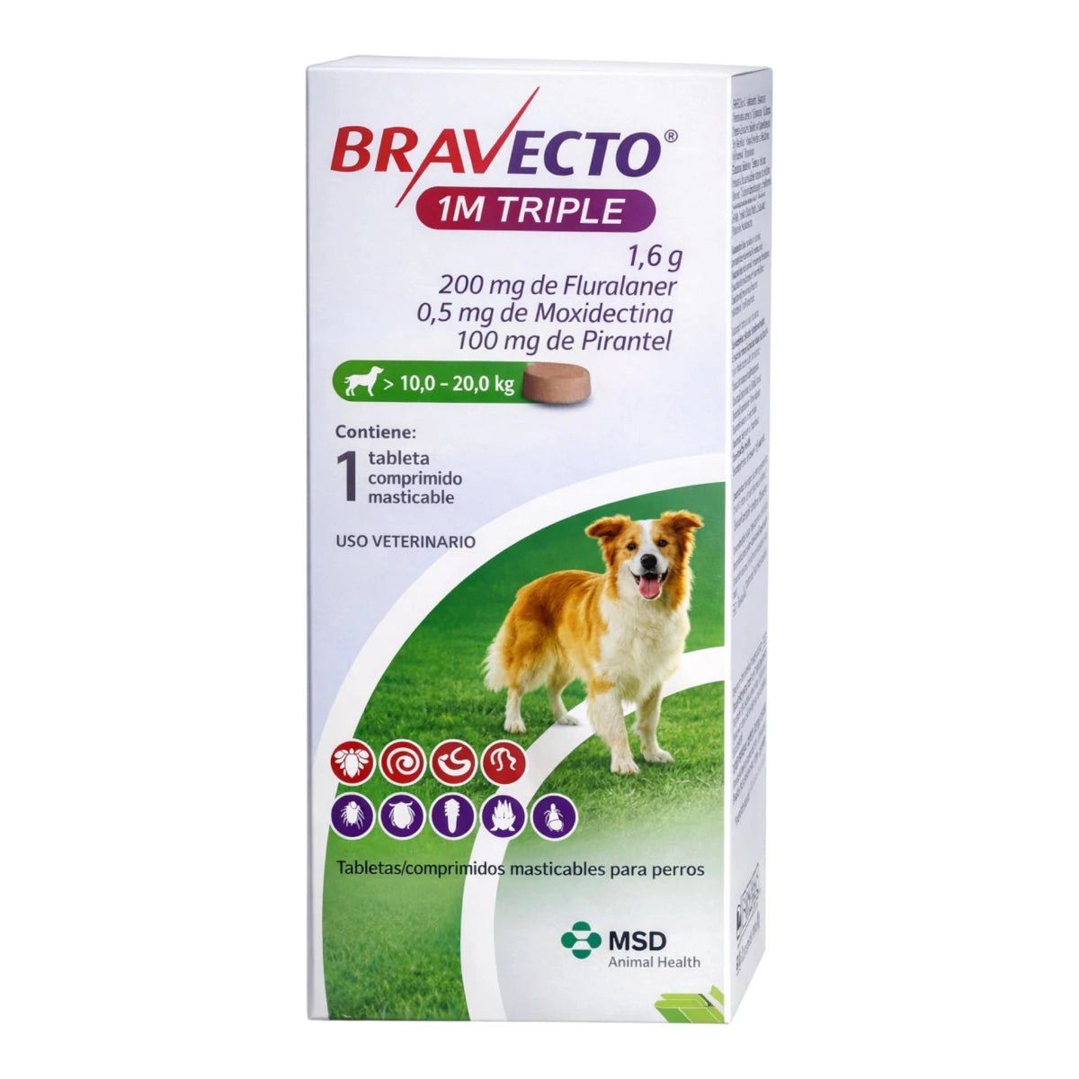 Caja del antiparasitario Bravecto 1M Triple para perros medianos de 10 a 20 kg. Protege contra pulgas, garrapatas, sarna, ácaros y parásitos internos por 37 días. Imagen mejorada con IA