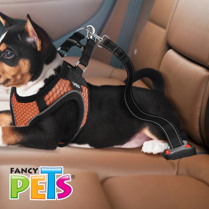 Perro con arnés sujeto con correa de seguridad para auto Fancy Pets, viajando seguro en el asiento trasero.