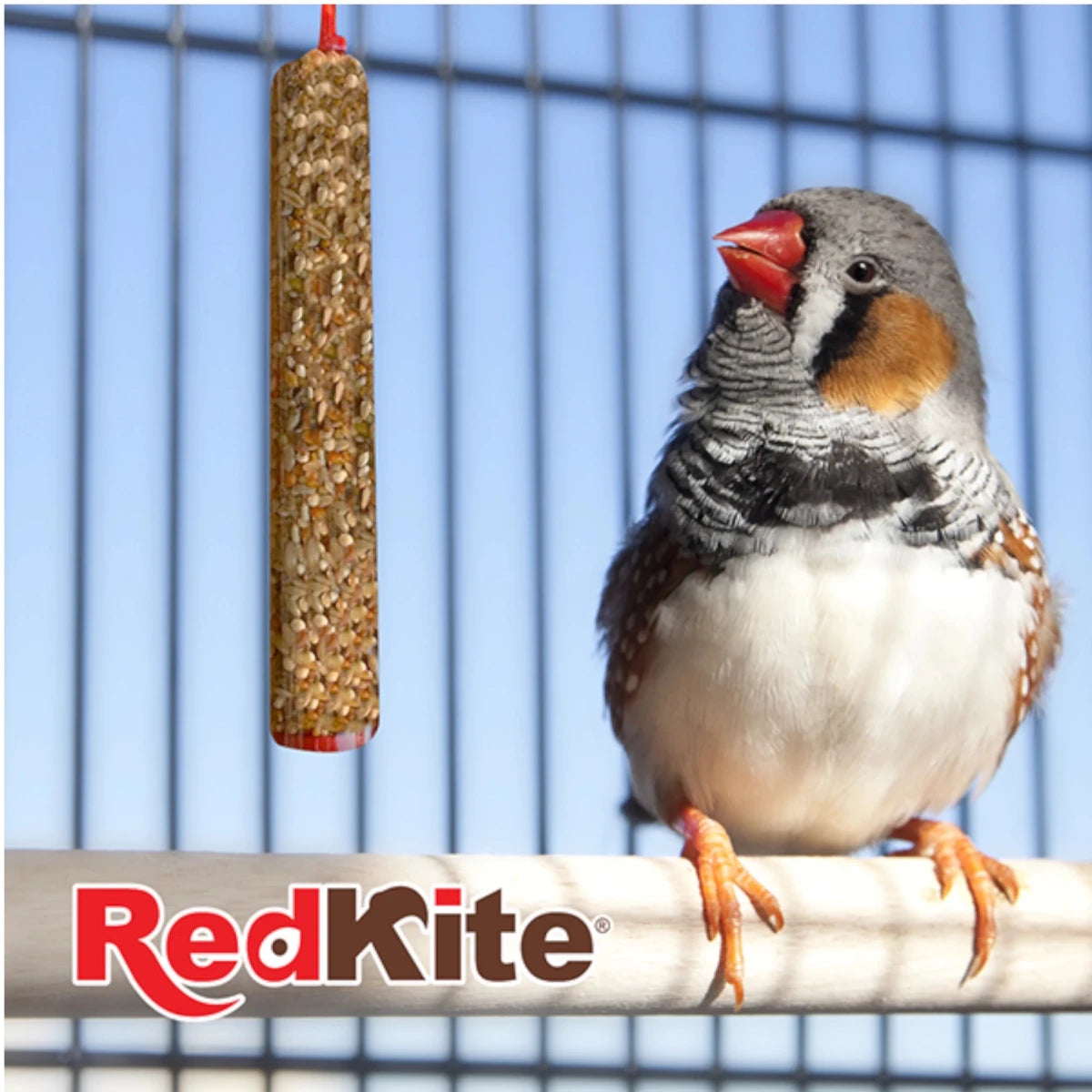 Barrita RedKite de semillas y larvas colgada en una jaula junto a un ave pequeña, snack natural y nutritivo para canarios y pinzones.