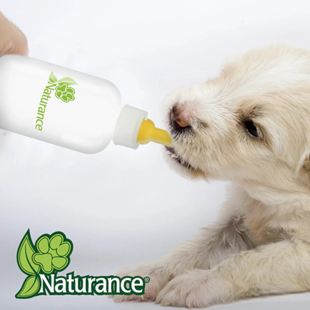 Cachorro bebiendo leche directamente del biberón Naturance