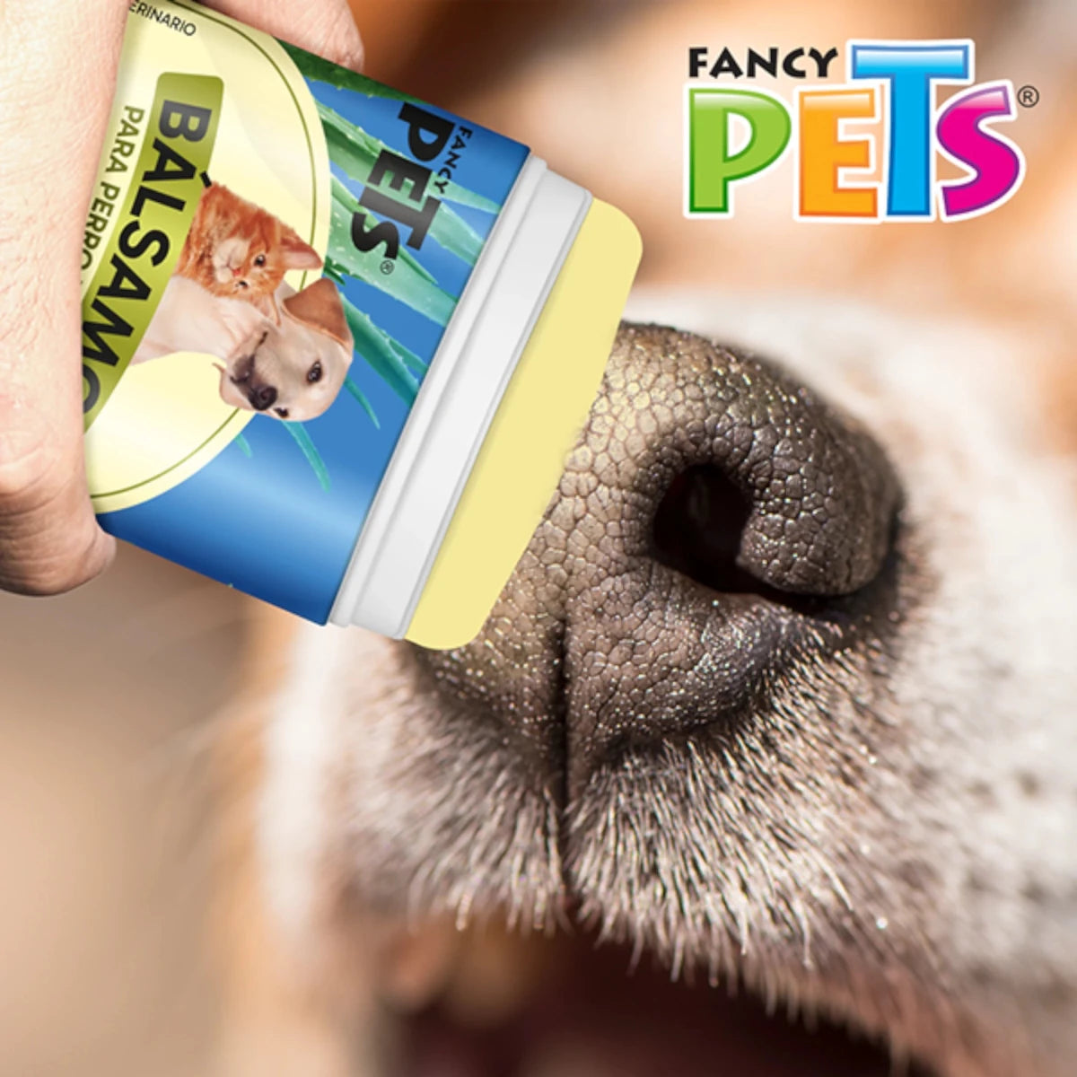 Bálsamo humectante de aloe vera aplicado en la nariz de un perro, ideal para piel reseca y agrietada.