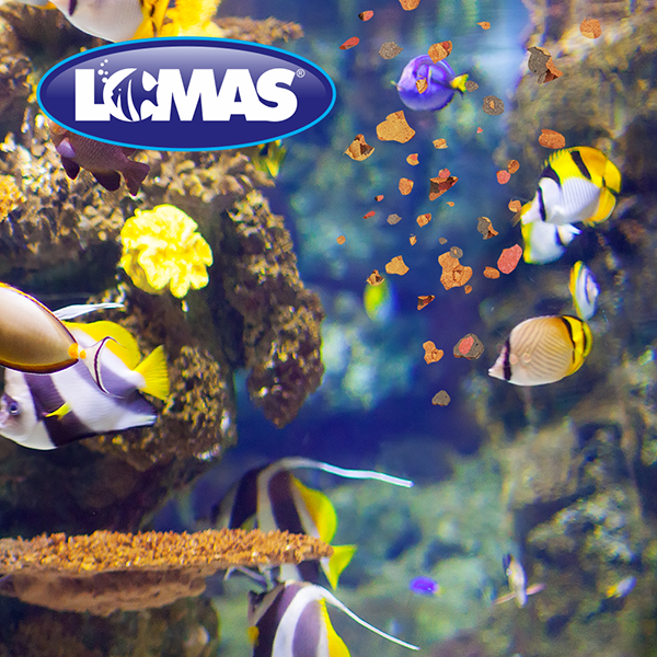 Hojuelas Peces Tropicales Lomas