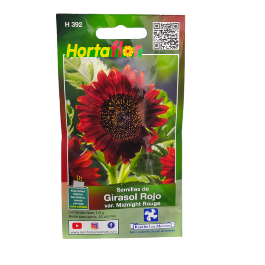 Sobre de semillas de girasol rojo Midnight Rouge ideal para cultivar flores decorativas en huertos y jardines caseros