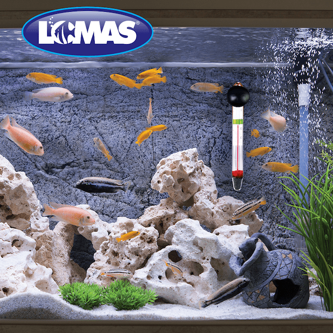 Termómetro flotante con chupón