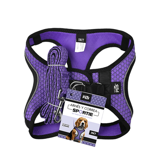 Arnés Morado  con tira reflejante y correa