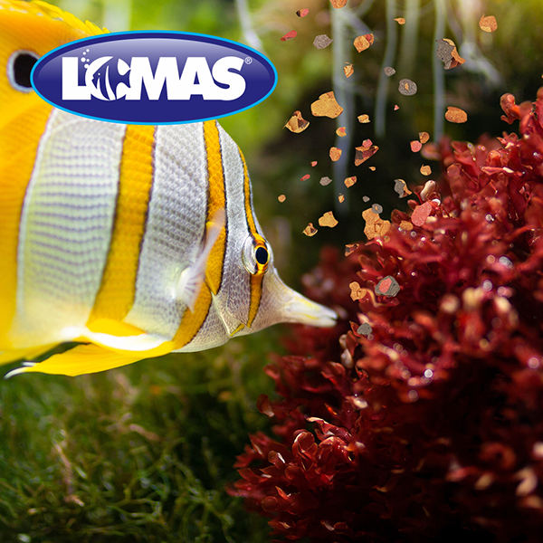Hojuelas Peces Tropicales Lomas