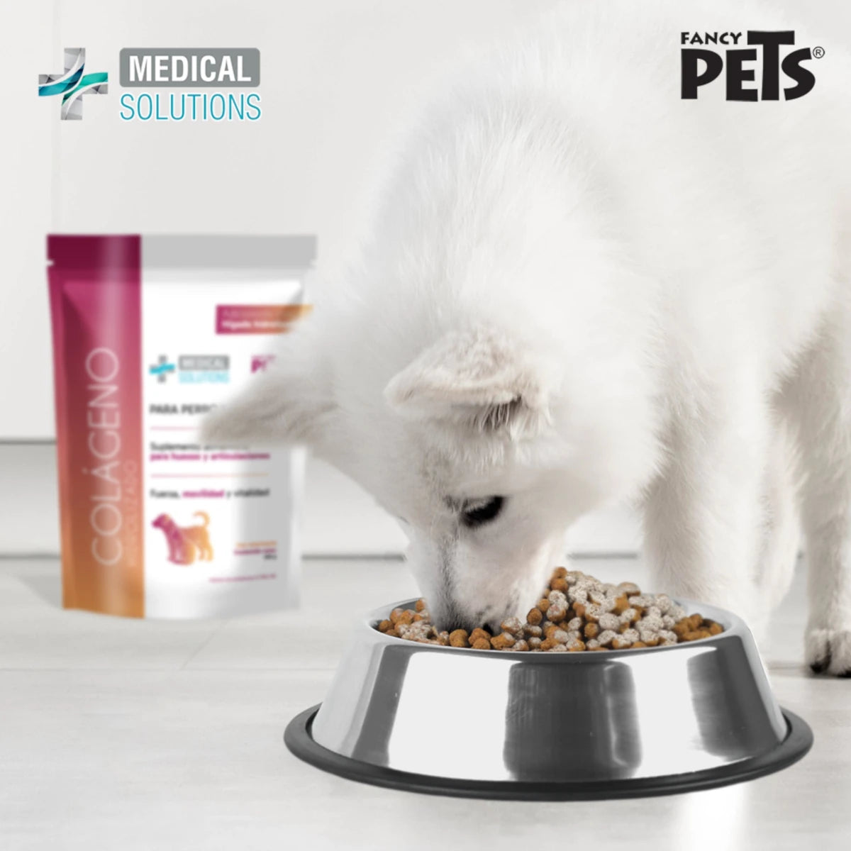 Perro blanco consumiendo su alimento mezclado con el suplemento de colágeno hidrolizado Fancy Pets, resaltando su palatabilidad gracias al hígado hidrolizado.