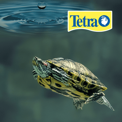 AquaSafe para reptiles y anfibios