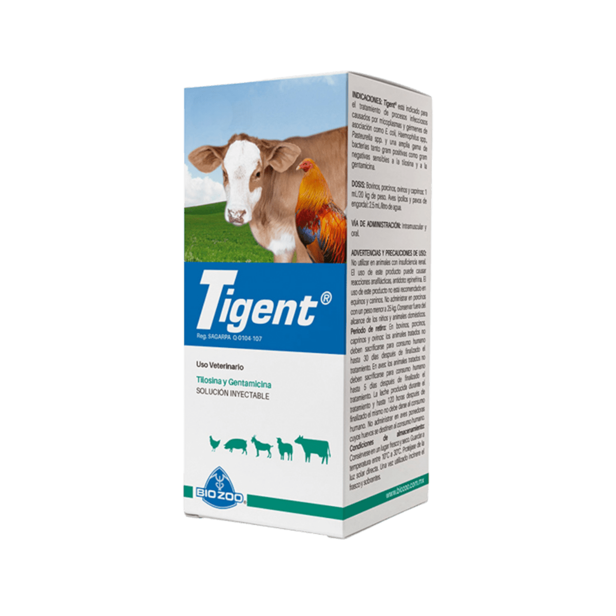  Tigent con tilosina y gentamicina, antibiótico inyectable para infecciones en bovinos, cerdos, cabras y aves de corral