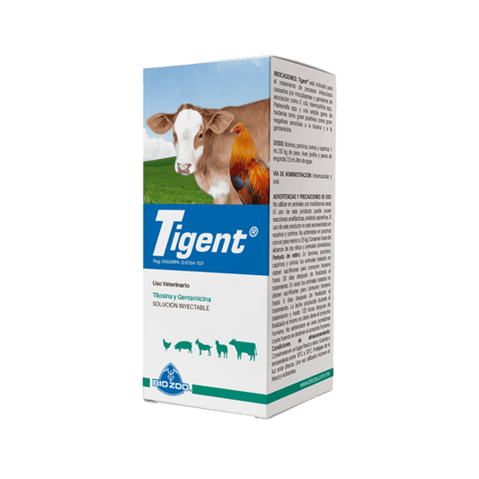 Tigent con tilosina y gentamicina, antibiótico inyectable para infecciones en bovinos, cerdos, cabras y aves de corral