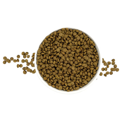 Vista de las croquetas miniatura de Nucan Cachorro en un plato, diseñadas para la fácil masticación de perros de raza pequeña en crecimiento.