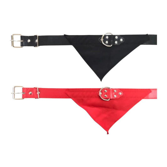 Collar con paliacate