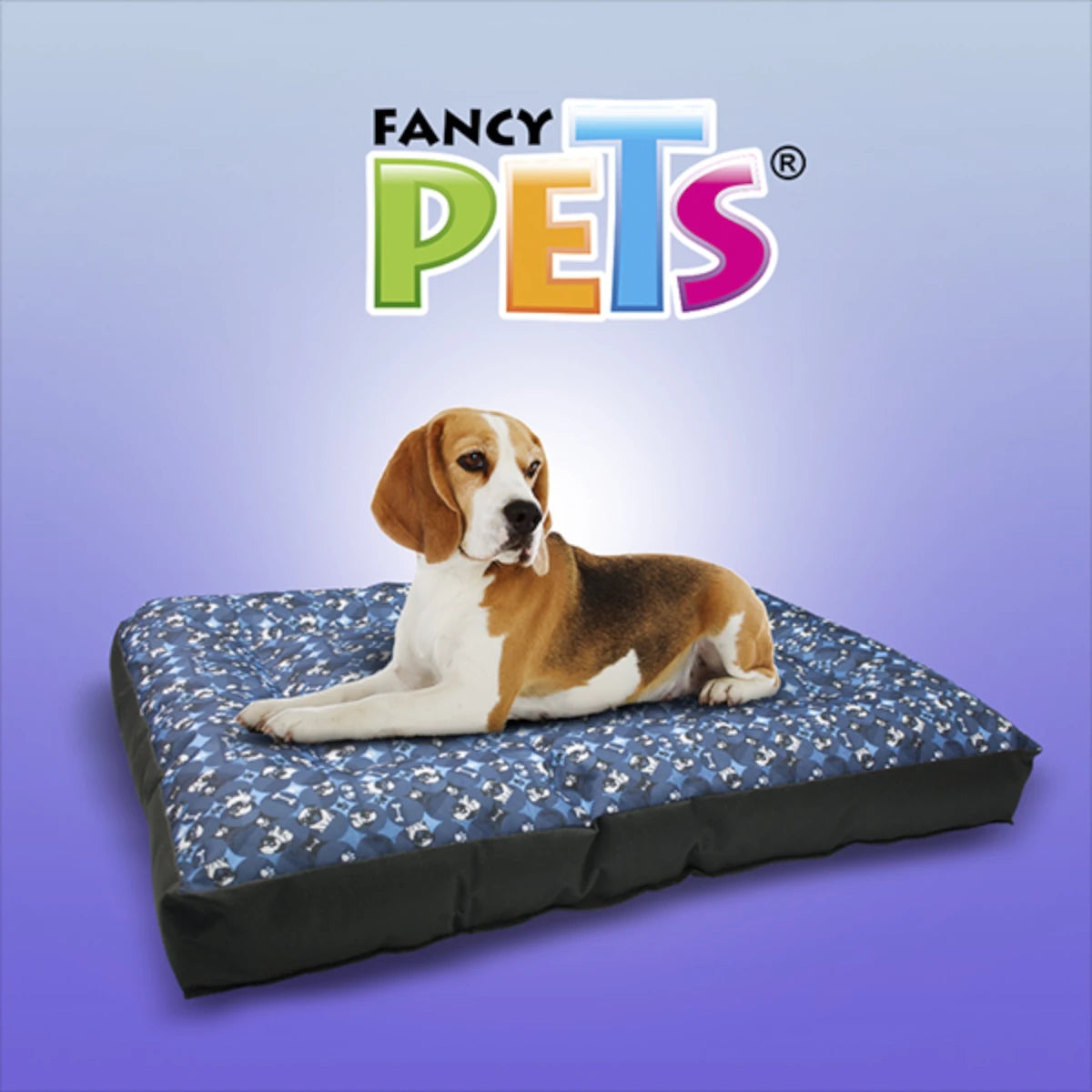 Perro de raza Beagle descansando cómodamente sobre la colchoneta ortopédica Buggie, mostrando su amplio espacio de 72x52cm.