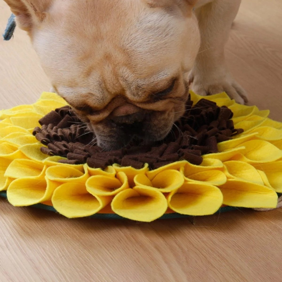 Tapete olfativo de girasol