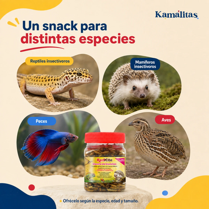 Snack RedKite para reptiles y mamíferos insectívoros, peces y aves