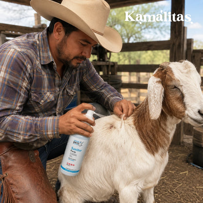 Hombre vaquero aplicando Sanitor Forte en el cuidado tópico de una herida menor en un chivo dentro de un corral.