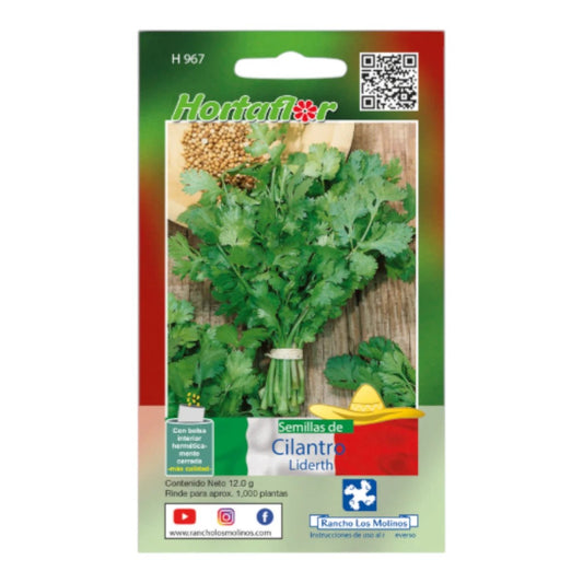 Sobre de semillas de Cilantro para siembra directa en macetas o huerto casero.