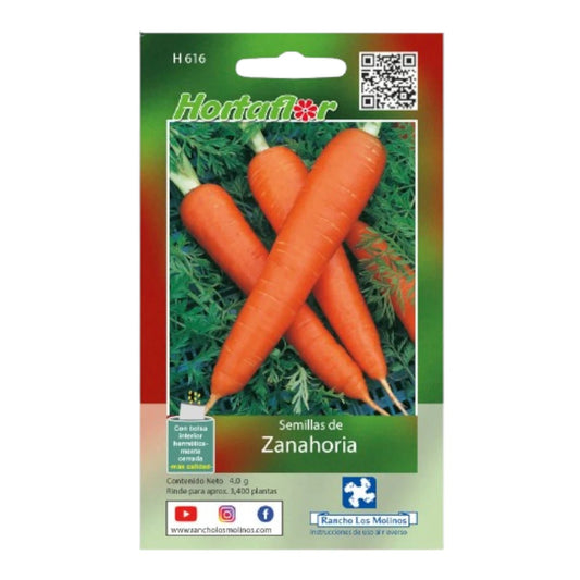 Sobre de 4g de semillas de zanahoria Daucus carota para siembra de alta densidad.