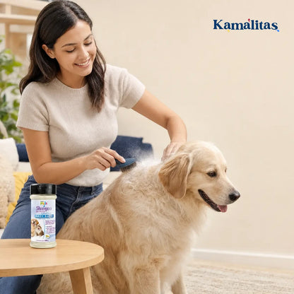 Aplicación de shampoo en polvo sobre el pelaje de un perro seguida de masaje y cepillado.