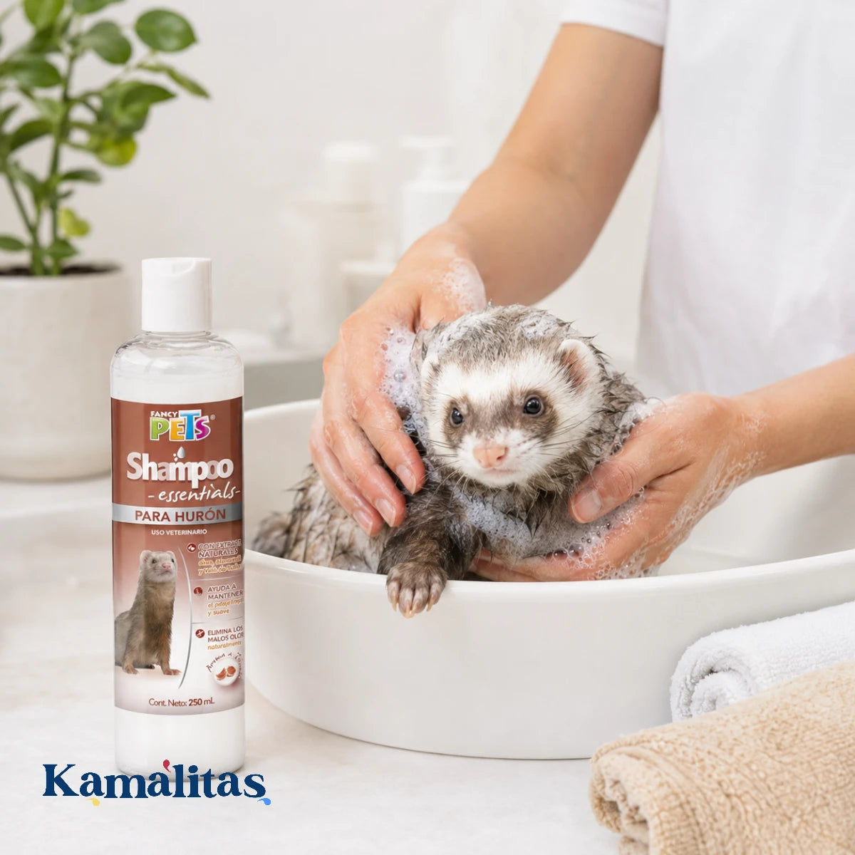 Hurón recibiendo baño con Shampoo para Hurón Fancy Pets de 250 ml, ideal para limpiar suavemente el pelaje, cuidar la piel delicada y reducir malos olores.