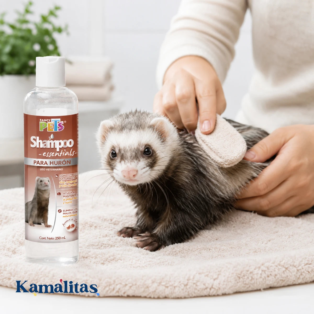 Hurón después del baño con Shampoo para Hurón Fancy Pets de 250 ml, mostrando cuidado del pelaje con fórmula suave que ayuda a hidratar, suavizar y mantener limpio.
