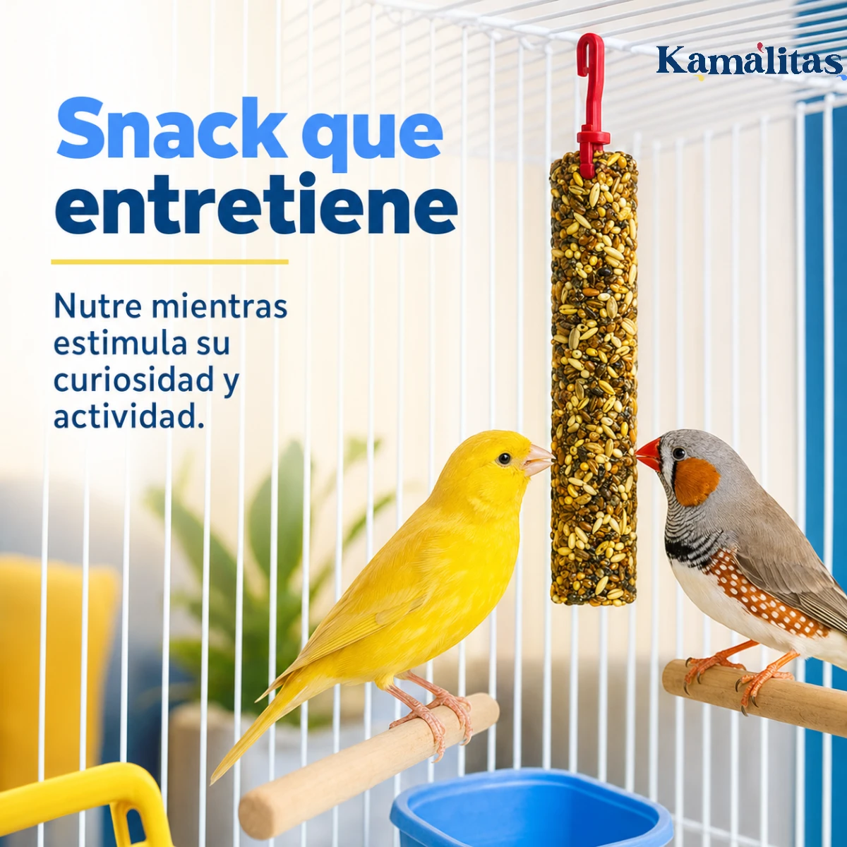 Canario y finch comiendo una barrita de semillas RedKite que estimula su curiosidad y actividad