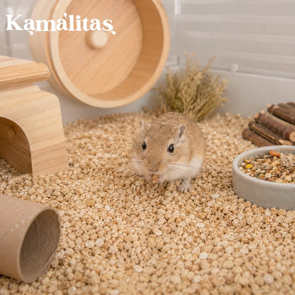 Un jerbo miniatura explorando su hábitat equipado con sustrato de maíz natural que evita que la suciedad se pegue a su pelaje, promoviendo el bienestar y la higiene diaria, en Kamalitas.