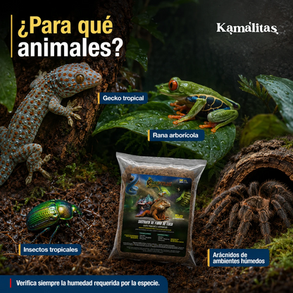Sustrato de coco para terrarios de geckos tropicales, ranas arborícolas, insectos y arácnidos de ambientes húmedos.