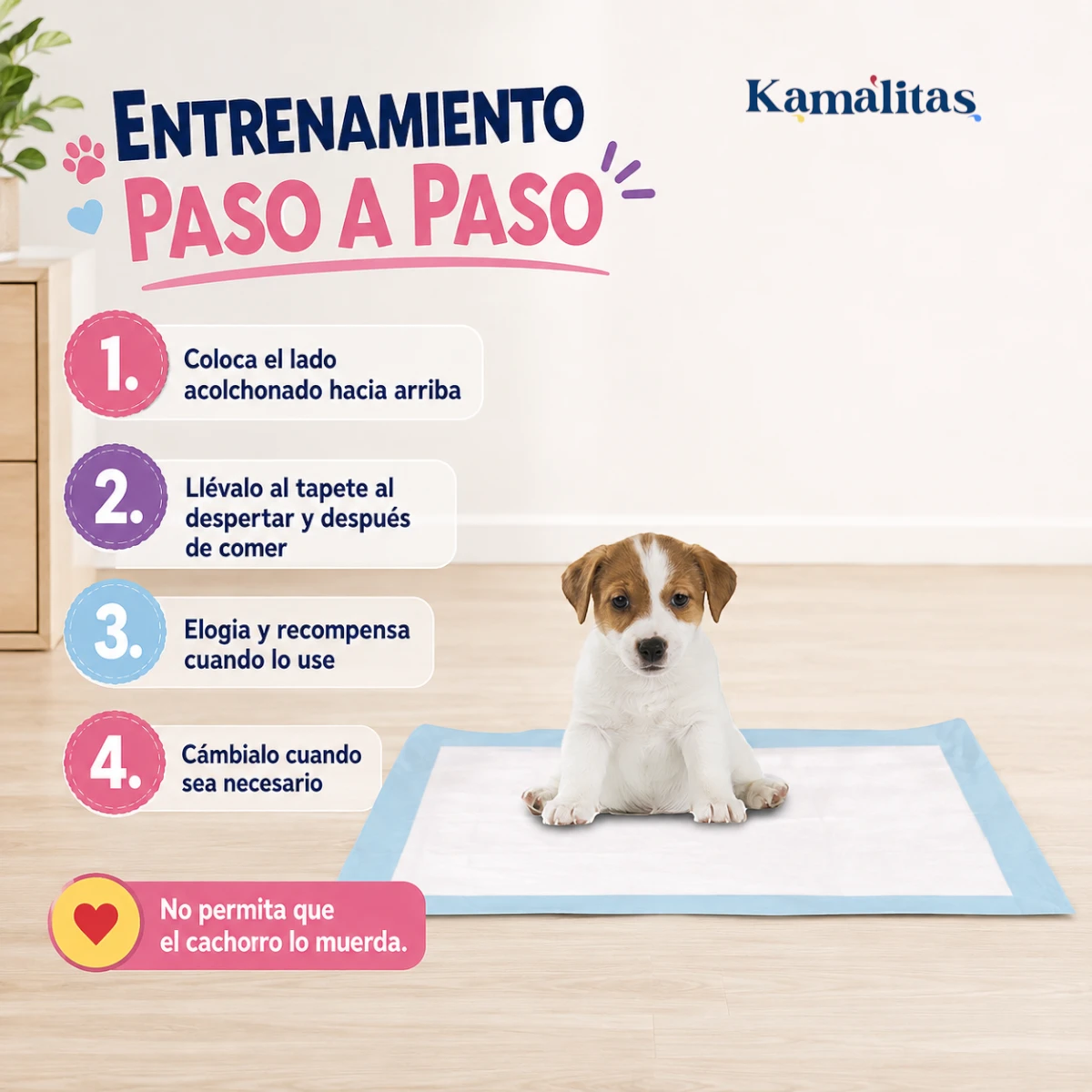 Guía para entrenar a un cachorro con SoftPad: colocar el tapete, llevarlo después de comer y recompensarlo.