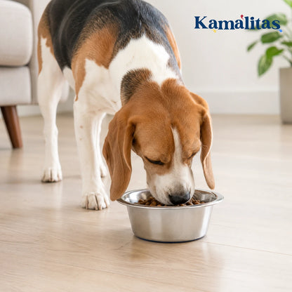 Tazón con base antiderrapante Fancy Pets de 24 oz, ideal para perros medianos que necesitan un plato resistente para alimento o agua.