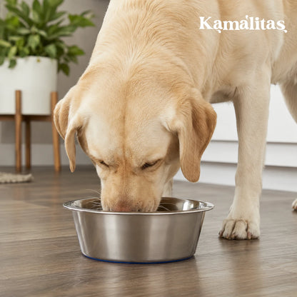 Tazón con base antiderrapante Fancy Pets de 64 oz, ideal para perros grandes que requieren mayor capacidad para alimento o agua.