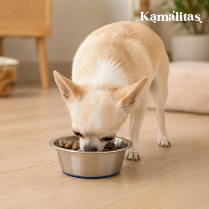 Tazón con base antiderrapante Fancy Pets de 8 oz, ideal para servir alimento o agua a perros pequeños de forma estable y fácil de limpiar.