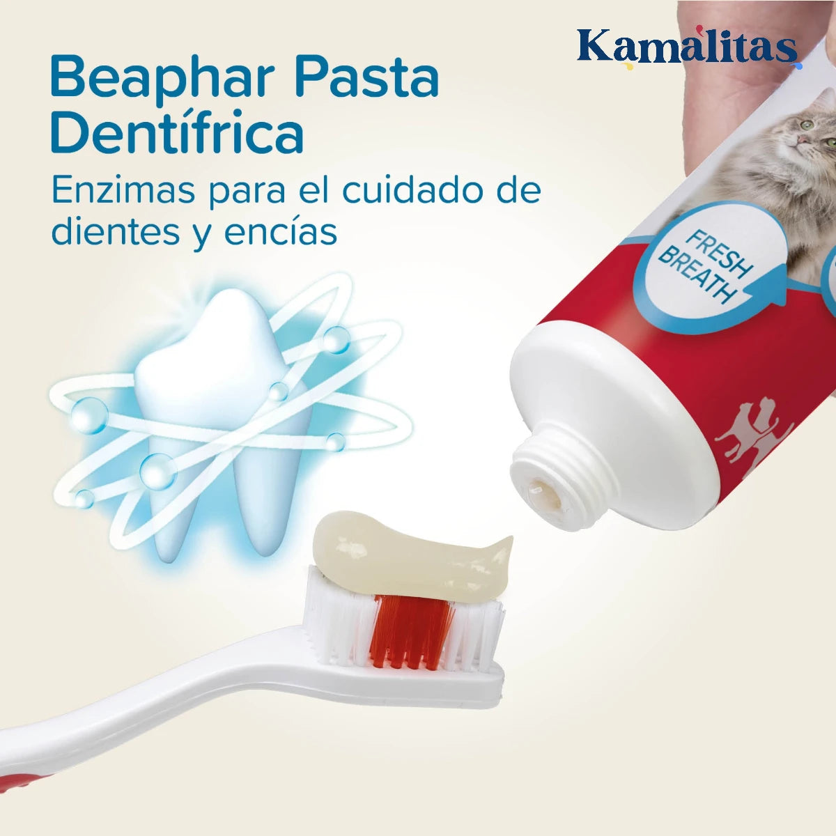 Acercamiento a la textura de la pasta dentífríca enzimática Beaphar sobre un cepillo dental, ideal para el cuidado de dientes y encías.