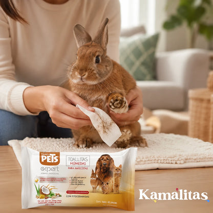 Una persona limpiando cuidadosamente las patitas sucias de un conejo café con una toallita Fancy Pets, mostrando que su fórmula natural es totalmente segura para animales pequeños y pieles sensibles, en Kamalitas.