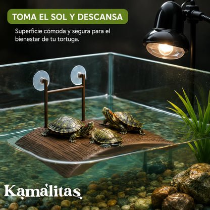 Tres pequeñas tortugas de orejas rojas descansando y absorbiendo calor bajo una lámpara de foco infrarrojo sobre la plataforma flotante Lomas en un acuario con agua limpia, en Kamalitas.